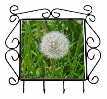 Dandelion Seeds Wrought Iron Key Holder Hooks Christmas Gift
