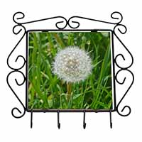 Dandelion Seeds Wrought Iron Key Holder Hooks Christmas Gift