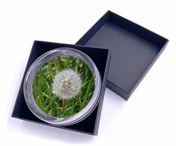 Dandelion Seeds Glass Paperweight in Gift Box Christmas Present