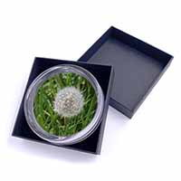 Dandelion Seeds Glass Paperweight in Gift Box Christmas Present
