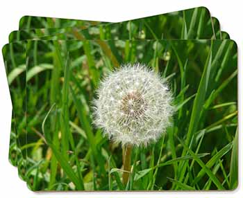 Dandelion Seeds Picture Placemats in Gift Box