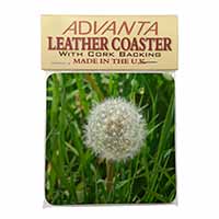 Dandelion Seeds Single Leather Photo Coaster Animal Breed Gift