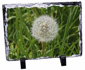 Dandelion Seeds Photo Slate Christmas Gift Ornament