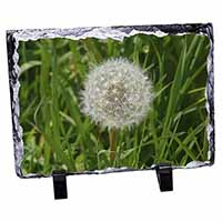 Dandelion Seeds Photo Slate Christmas Gift Ornament