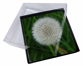 4x Dandelion Fairy Picture Table Coasters Set in Gift Box