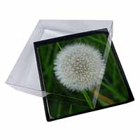 4x Dandelion Fairy Picture Table Coasters Set in Gift Box