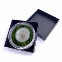Dandelion Fairy Glass Paperweight in Gift Box Christmas Present