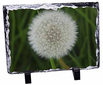 Dandelion Fairy Photo Slate Christmas Gift Ornament