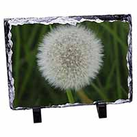 Dandelion Fairy Photo Slate Christmas Gift Ornament