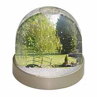 English Country Garden Photo Snow Globe Waterball Stocking Filler Gift
