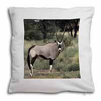 Africa Animals 