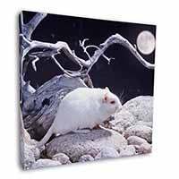 White Gerbil Square Canvas 12"x12" Wall Art Picture Print