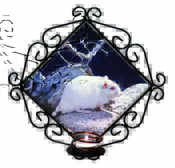 White Gerbil Wrought Iron Wall Art Candle Holder