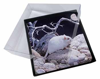 4x White Gerbil Picture Table Coasters Set in Gift Box