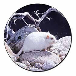 White Gerbil Fridge Magnet Printed Full Colour