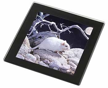 White Gerbil Black Rim High Quality Glass Coaster