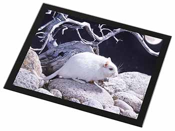 White Gerbil Black Rim High Quality Glass Placemat