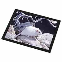 White Gerbil Black Rim High Quality Glass Placemat