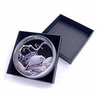 White Gerbil Glass Paperweight in Gift Box