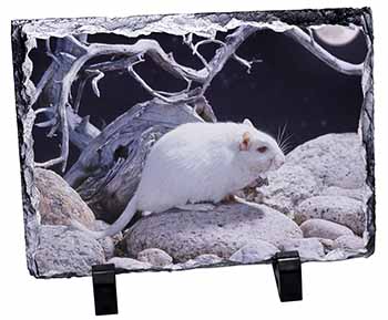 White Gerbil, Stunning Photo Slate