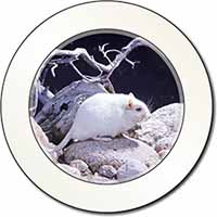 White Gerbil Car or Van Permit Holder/Tax Disc Holder