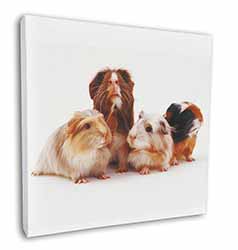 Guinea Pigs Square Canvas 12"x12" Wall Art Picture Print