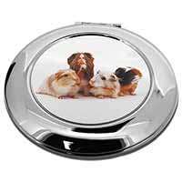Guinea Pigs Make-Up Round Compact Mirror