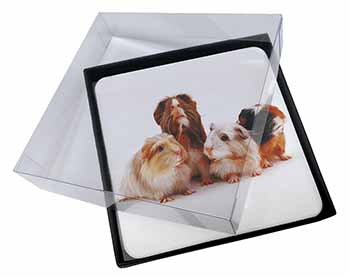 4x Guinea Pigs Picture Table Coasters Set in Gift Box