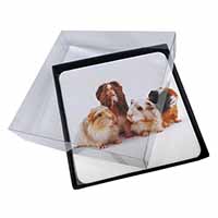 4x Guinea Pigs Picture Table Coasters Set in Gift Box