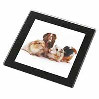 Guinea Pigs Black Rim High Quality Glass Coaster