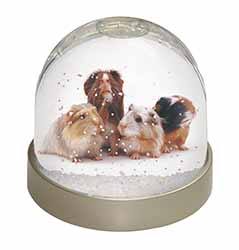 Guinea Pigs Snow Globe Photo Waterball