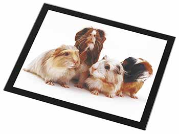 Guinea Pigs Black Rim High Quality Glass Placemat