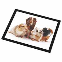 Guinea Pigs Black Rim High Quality Glass Placemat