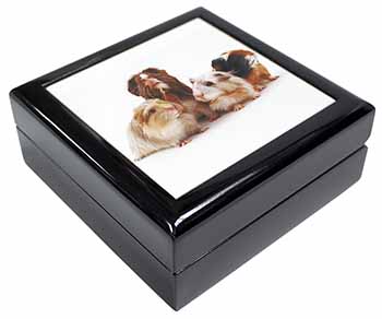 Guinea Pigs Keepsake/Jewellery Box