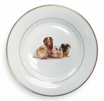 Guinea Pigs Gold Rim Plate Printed Full Colour in Gift Box