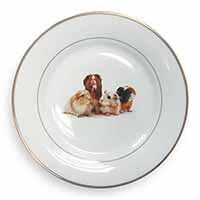 Guinea Pigs Gold Rim Plate Printed Full Colour in Gift Box