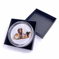 Guinea Pigs Glass Paperweight in Gift Box