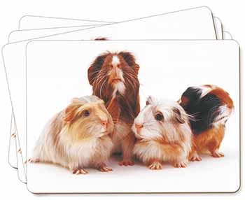 Guinea Pigs Picture Placemats in Gift Box