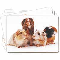 Guinea Pigs Picture Placemats in Gift Box