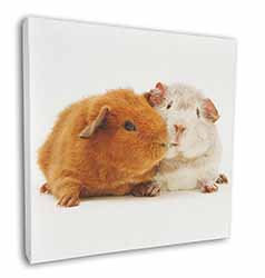 Guinea Pig Print Square Canvas 12"x12" Wall Art Picture Print