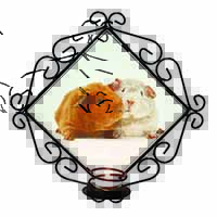 Guinea Pig Print Wrought Iron Wall Art Candle Holder