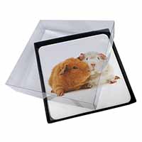 4x Guinea Pig Print Picture Table Coasters Set in Gift Box