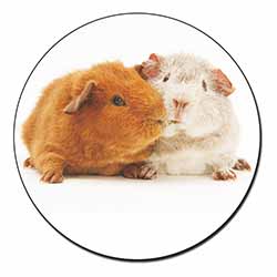 Guinea Pig Print Fridge Magnet Printed Full Colour