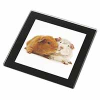 Guinea Pig Print Black Rim High Quality Glass Coaster