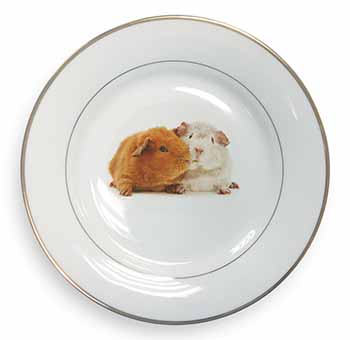 Guinea Pig Print Gold Rim Plate Printed Full Colour in Gift Box