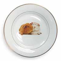 Guinea Pig Print Gold Rim Plate Printed Full Colour in Gift Box