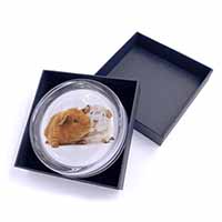 Guinea Pig Print Glass Paperweight in Gift Box