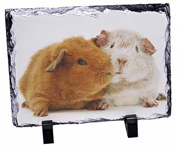 Guinea Pig Print, Stunning Photo Slate