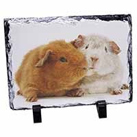 Guinea Pig Print, Stunning Photo Slate