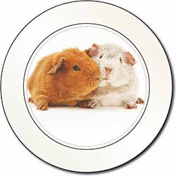 Guinea Pig Print Car or Van Permit Holder/Tax Disc Holder